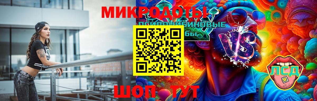 Галлюциногенные грибы Cubensis Верхняя Пышма